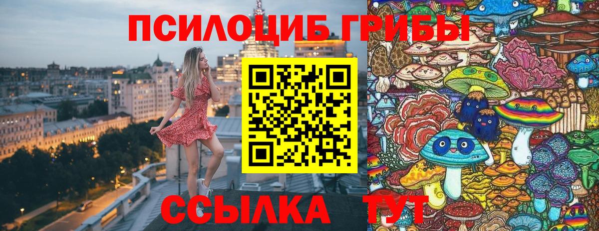 Псилоцибиновые грибы GOLDEN TEACHER  Вход с VPN  Екатеринбург 